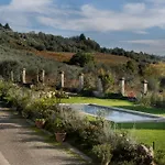 I Casciani