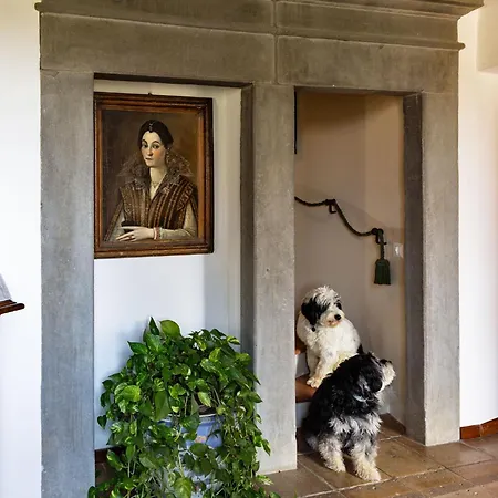 Farm stay I Casciani