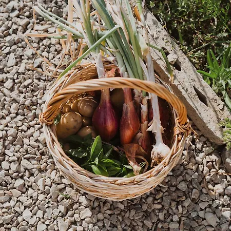 Séjour à la ferme I Casciani *